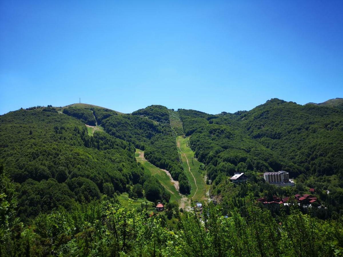 Apartments Mavrovo Forest 10 Exterior foto